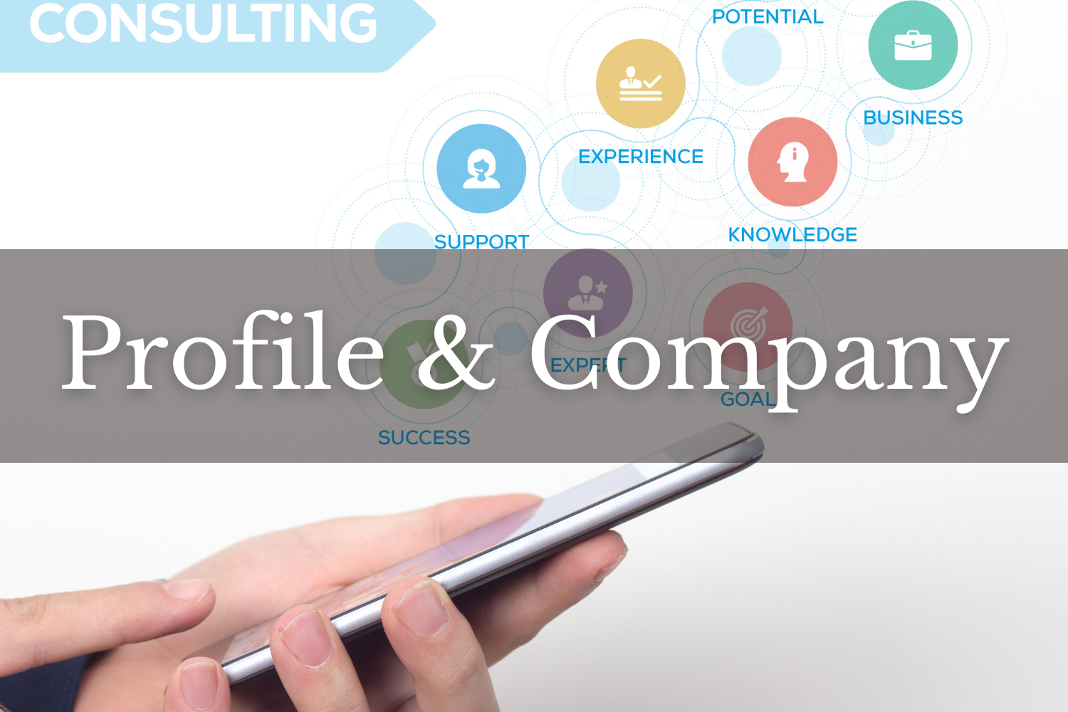Profile & Company